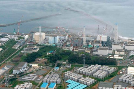 韩国禁止进口日本水产品,世贸组织作出最终裁定