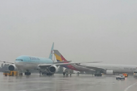 韩国两客机碰撞,机身受损无人伤亡