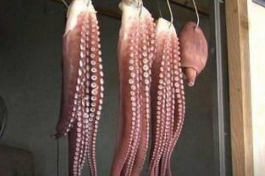 预言帝章鱼哥被煮