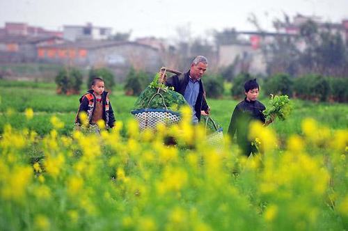 机构改革挂牌倒计时,国务院将推进改革进度