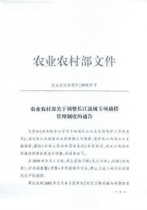 长江刀鱼正式禁捕