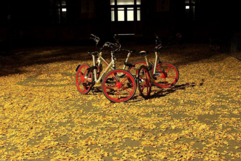 摩拜员工坠楼,披露事件发生真相