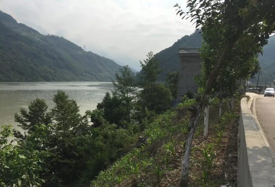 水库坠亡保险拒赔,被交警认定不属于交通事故