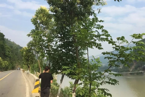 水库坠亡保险拒赔,被交警认定不属于交通事故