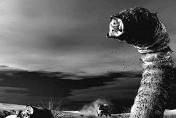 蒙古死亡蠕虫真的存在吗?揭秘死亡蠕虫的真假