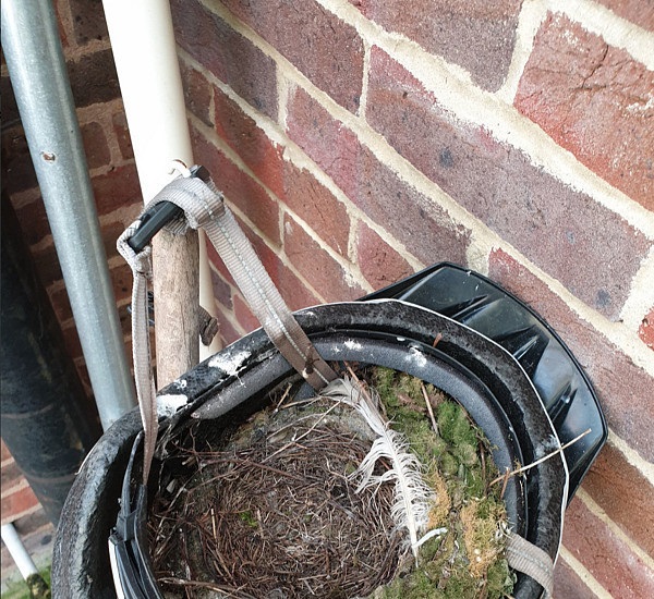 ���г�ͷ���ɷ�����,���г�ͷ��,ͷ���ɷ�����