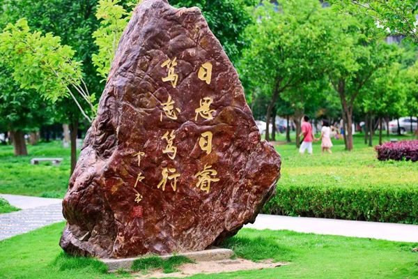 教师发不当言论大学成立调查组_这位大学老师梁艳萍发表了什么言论呢