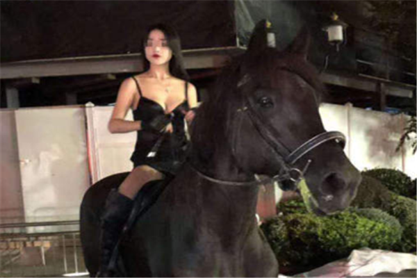 女子深夜骑马最新消息-女子深夜骑马新闻资讯